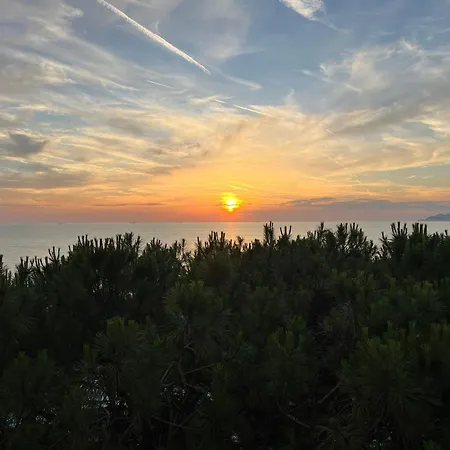 Sunset Pine Golem (Tirana)